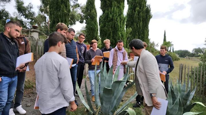 Formation en apprentissage Pays de la Loire